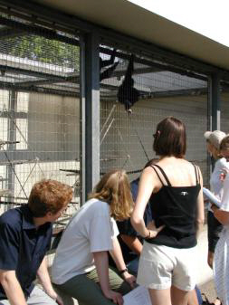 Zoo