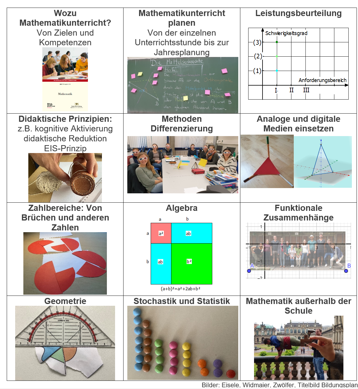 Organigramm